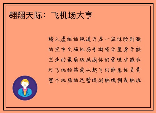 翱翔天际：飞机场大亨